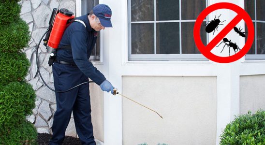 Çiçekdağı Kemirgen İlaçlama böcek ilaçlama ve haşere kontrolü — ilaclama-tr.com